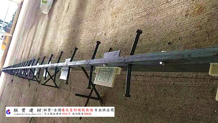 咸阳市铠甲缝施工案例